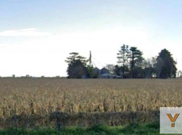Campo · 15370000m² · Campo en Venta - 1537ha - Santa Fe