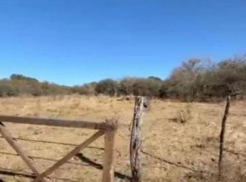Campo · 85000m² · Campo en Venta - 8 Hectáreas - Córdoba