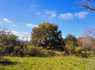 Terreno · 5817m² · Venta de Terreno 5817 Mc en Los Paños Sobre Ruta