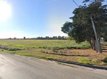 Campo · 53609m² · Campo en Venta - 4 Hectáreas - San Nicolás de Los Arroyos