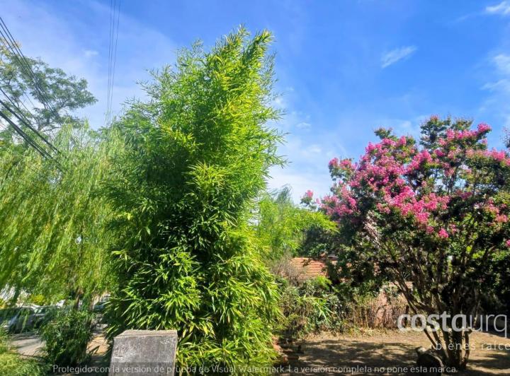 Terreno · 200m²