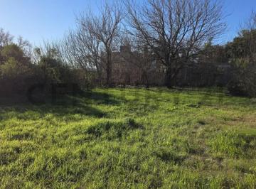 Terreno · 372m² · Venta - Lote - Terreno - 372 m² - Cañada de Gomez