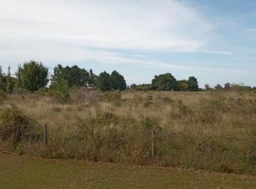 Terreno · 20000m² · Venta 2 Ha Arroyo Leyes