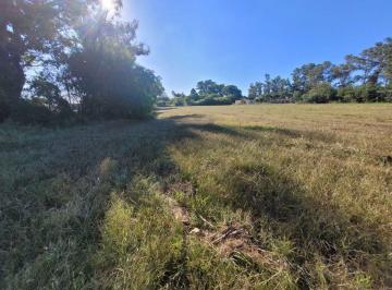 Terreno · 11768m² · Se Vende Terreno en Sauce Viejo - Oport. Para Loteo