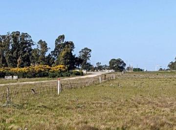 Terreno · 20000m² · Venta Dos Ha Benito Juarez - Financiacion