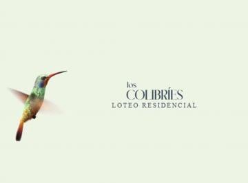 Terreno · 514m² · En Venta Lote 31 en Esquina Loteo Los Colibries