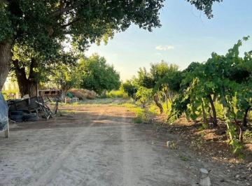 Campo · 12ha · Venta de Finca en San Martin Alto Verde 12 Ha