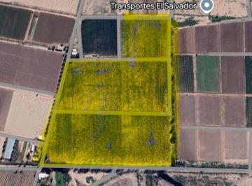Campo · 8ha · Chacra en Producción Fray Luis Beltrán Maipú