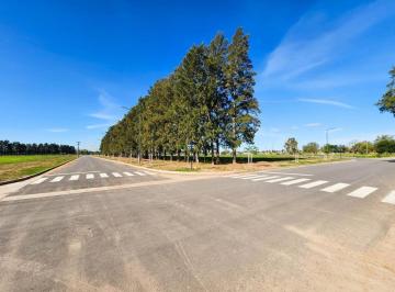 Terreno · 600m² · Venta Lote 600 m - Ecolagos Oeste - Gral Lagos