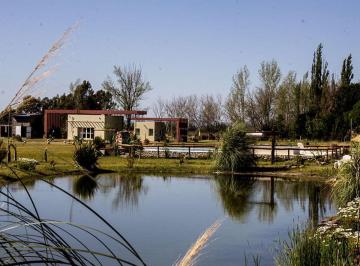 Terreno · 1538m² · Venta Gran Terreno Club de Campo San Rafael Mza