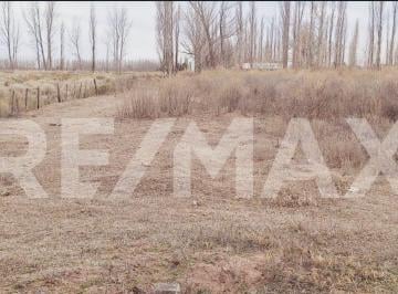Campo · 40ha · Venta 40 Hectáreas, Catriel, Rio Negro