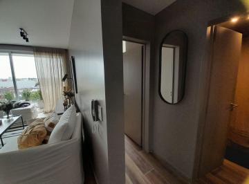 Departamento · 55m² · 2 Ambientes · Departamento en Venta en Pozo - La Plata