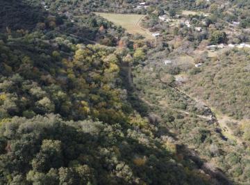 Campo · 105608ha · Venta Campo 10 Ha Colanchanga