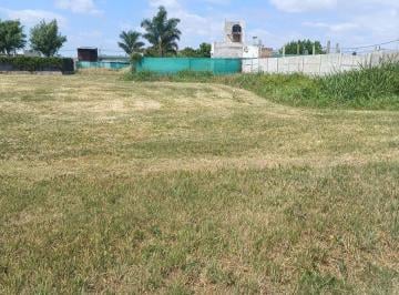 Terreno · 300m² · Venta Lote Ramona