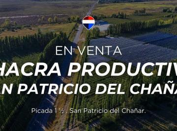 Campo · 19ha · Chacra Productiva de 19 Ha - Frente de Ruta