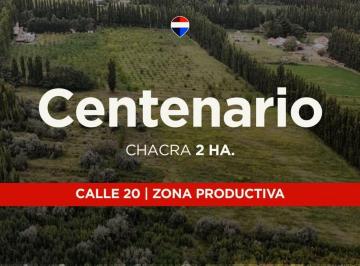 Campo · 3ha · Venta Chacra 2,5has, Calle 20 Centenario - Neuquén