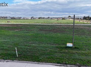 Terreno · 300m² · Lote de 300 m² en El Loteo Tierra Nueva