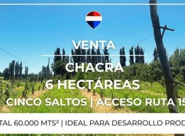 Campo · 6ha · Venta Chacra 6 Has - Cinco Saltos