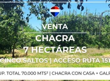 Campo · 7ha · Venta Chacra 7 Has - Cinco Saltos