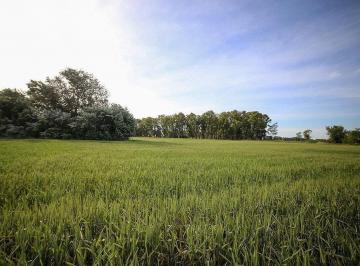 Terreno · 2054m² · Lote en Venta Chacras de San Andres, Villa Ruiz