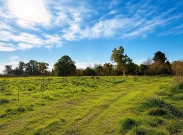 Terreno · 5000m² · Venta Lote Virrey del Pino