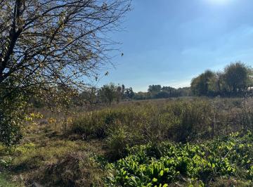 Campo · 9ha · Venta Campo 8,5 Ha, Ruta 25 Pilar