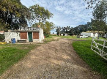 Campo · 300ha · Venta Campo en Fighiera - 8 Ha
