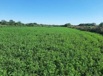 Campo · 23ha · Campo en Venta Suri Pozo - Santiago del Estero