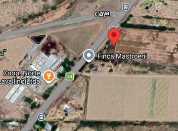 Campo · 70ha · Venta de 70 Ha Sobre Ruta 24, Lavalle