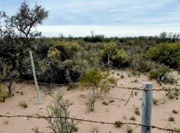 Campo · 100ha · Remax Vende Campo