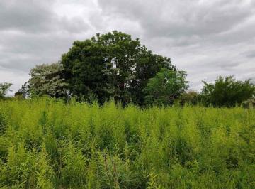 Terreno · 5075m² · Oportunidad Única: Terreno de 5,075 m² a Excelente