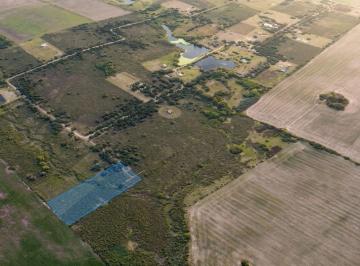 Terreno · 10000m² · Terreno de Una Hectárea en El Ensueño - Los Aromos