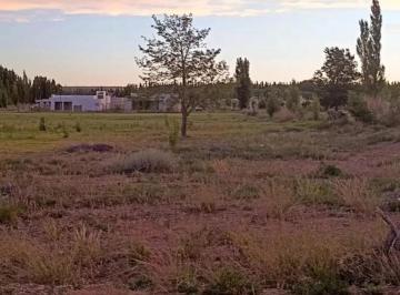 Terreno · 810m² · Lote en Venta – Viterbori Al 2500 | General Roca