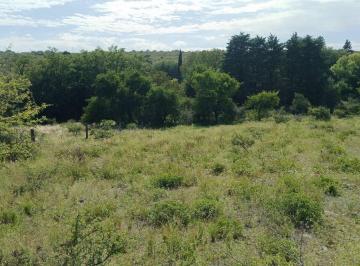 Terreno · 50000m² · Venta Terreno Tanti 50.500 m² Oportunidad Inversor