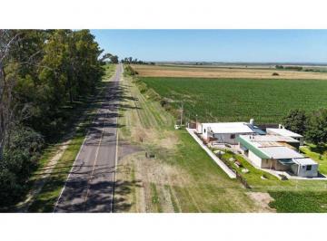 Campo · 385ha · Ideal: 10 Hectáreas en Costa Grande Sobre Ruta 11