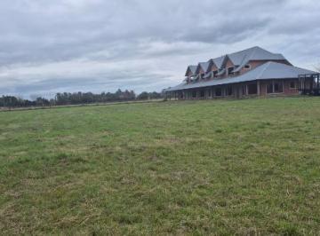 Campo · 516m² · 4 Ambientes · Campo en Pilar