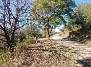 Terreno · 10870m² · Oportunidad, Lote Rebajado en Corral de Barrancas:l Plano de 1.1 Ha con Arboleda Autóctona