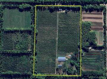 Campo · 200m² · 2 Ambientes · Chacraventa - Chacra 8 Ha + Plantas de Cerezas + Acuicultura - Vista Alegre