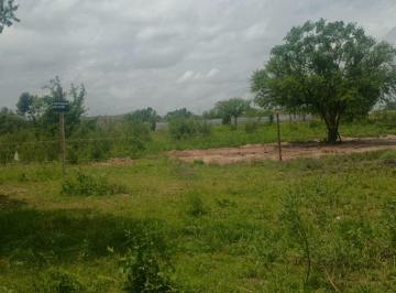 Terreno · 4725m² · Se Venden Terrenos en Las Mercedes Oeste