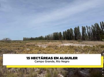 Terreno · 150000m² · Alquiler de 15 Hectáreas Campo Grande, Rio Negro