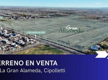 Terreno · 400m² · Venta Lotes B° La Gran Alameda | Cipolletti