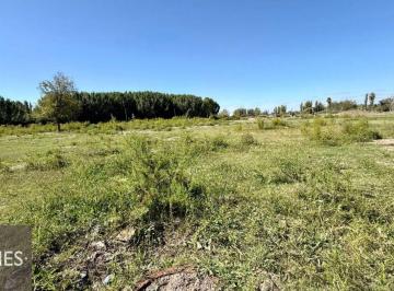 Terreno , Los Corralitos · Fracción Estratégica en Los Corralitos: 64.706 m² con Anteproyecto