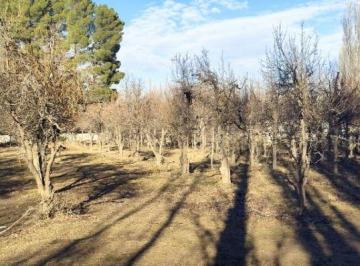 Terreno , Neuquén · 26 Ha Neuquen - Apta Loteo / Desarrollo