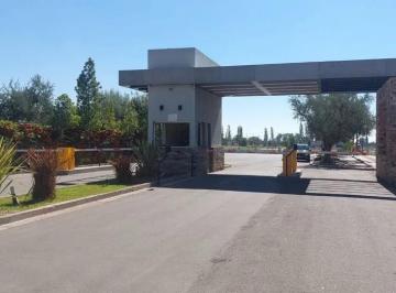 Terreno , Maipú · B° Las Tacas Vende Lotes Centrales - Oportunidad. Coquimbito - Maipu - Mendoza