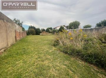 Terreno · 750m² · Lote / Terreno Calle 30 Entre 29 y 31 - Miramar