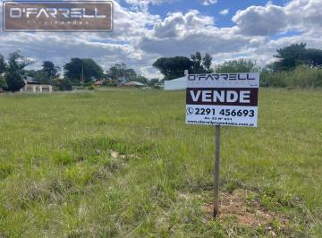 Terreno · 600m² · Lote / Terreno Av del Parque Entre Los Pinos y Los Tilos - Parquemar - Miramar