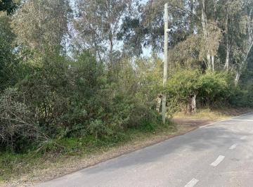Terreno · 24675m² · Campo en Villa Rosa