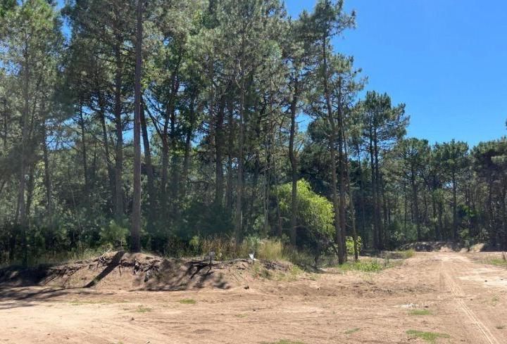 Terreno · 1010m²