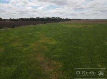 Campo · 770000ha · Campo Mixto de 77 Has en Venta - a 7 Km de Ruta 29 en Villanueva