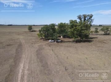 Campo · 1410000ha · Campo Mixto de 141 Has en Venta - Excelente Acceso Desde Ruta N° 29 - Ranchos